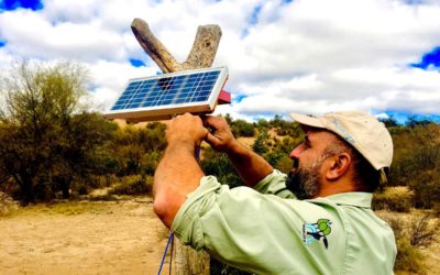 17 de junio DÍA MUNDIAL DE LA LUCHA CONTRA LA DESERTIFICACIÓN Y LA SEQUÍA