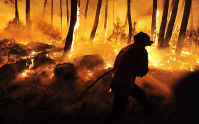 4 DE MAYO DÍA INTERNACIONAL DEL COMBATIENTE DE INCENDIOS FORESTALES