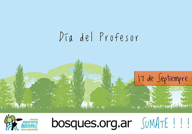 Día del Profesor