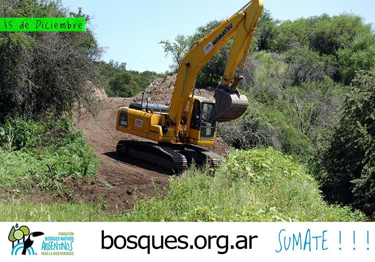 Gobierno de Córdoba facilitará desforestación de bosques nativos