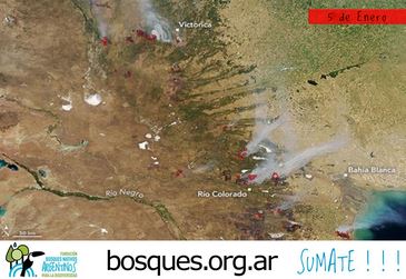 INCENDIOS RURALES: MILES DE HECTÁREAS CONSUMIDAS