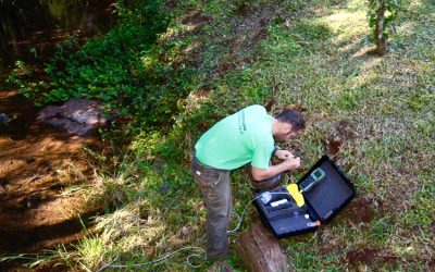 INVESTIGAR EN Y POR LOS BOSQUES NATIVOS ARGENTINOS