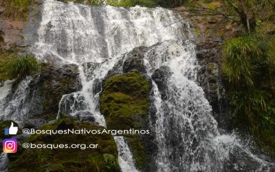 LAS REALIDADES DEL ACCESO AL AGUA EN LA ARGENTINA