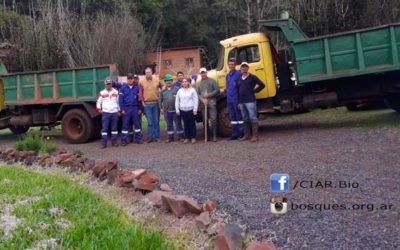 RESTAURACIÓN EN LA SELVA MISIONERA. CARGANDO MILES DE ÁRBOLES NATIVOS PRODUCIDOS POR NUESTRA FUNDACIÓN