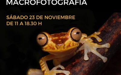 MACROFOTOGRAFIA WORKSHOP