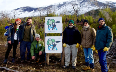 TRABAJO 100 % ARGENTINO POR LOS BOSQUES NATIVOS ARGENTINOS