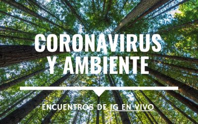 CORONAVIRUS Y AMBIENTE