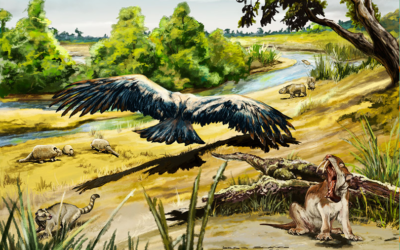 Un equipo de investigación del CONICET logra datar faunas del Mioceno tardío-Plioceno