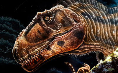 Hallan en Neuquén un dinosaurio carnívoro gigante del Cretácico Superior
