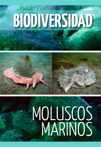 Biodiversidad 07