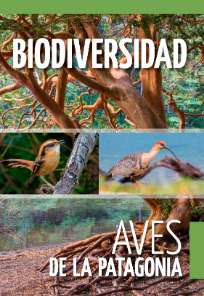 Biodiversidad 13